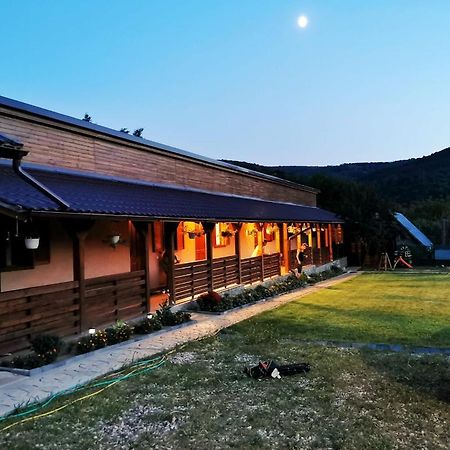 Pensjonat Casa Borcean 2 Sasca Montană Zewnętrze zdjęcie