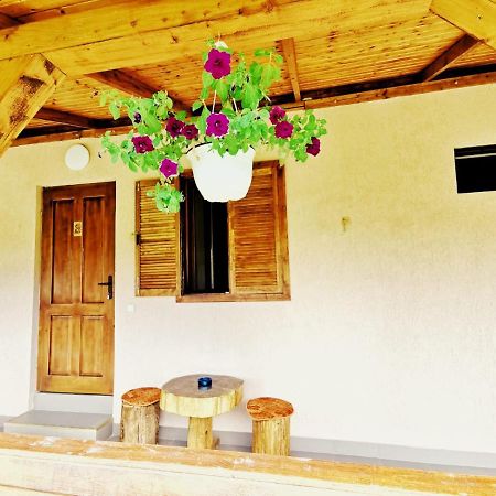 Pensjonat Casa Borcean 2 Sasca Montană Zewnętrze zdjęcie