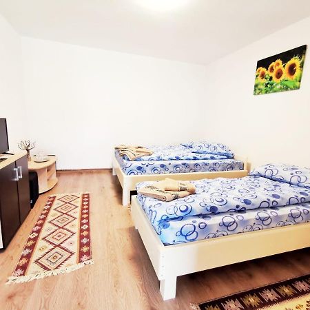 Pensjonat Casa Borcean 2 Sasca Montană Zewnętrze zdjęcie