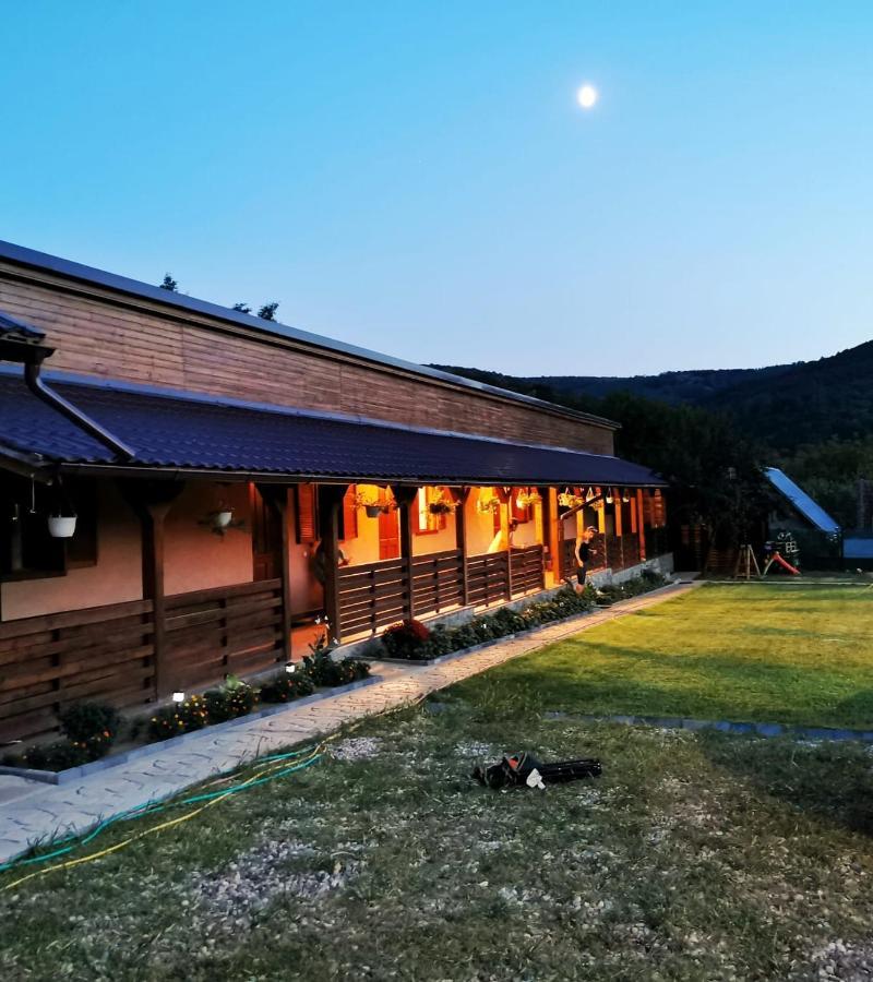 Pensjonat Casa Borcean 2 Sasca Montană Zewnętrze zdjęcie