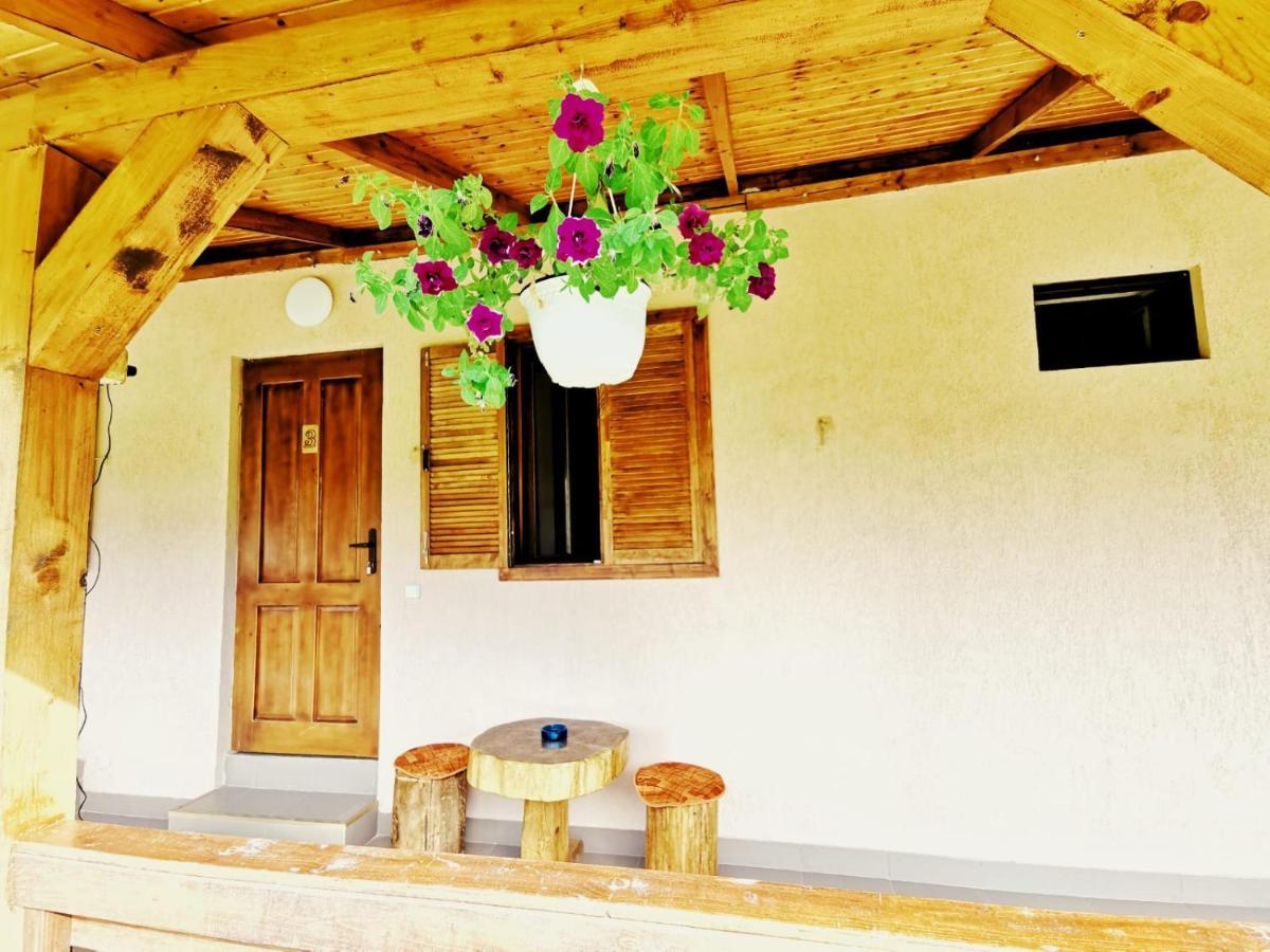 Pensjonat Casa Borcean 2 Sasca Montană Zewnętrze zdjęcie