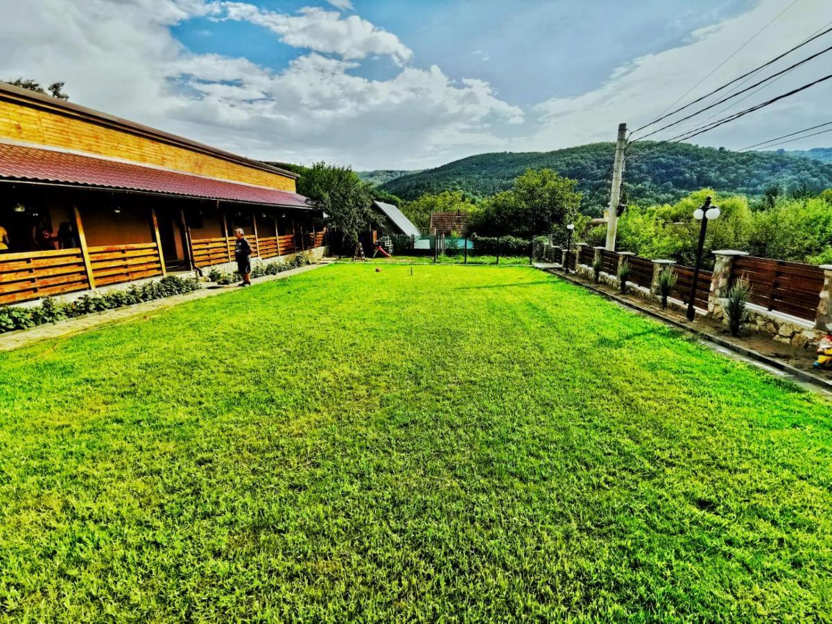 Pensjonat Casa Borcean 2 Sasca Montană Zewnętrze zdjęcie