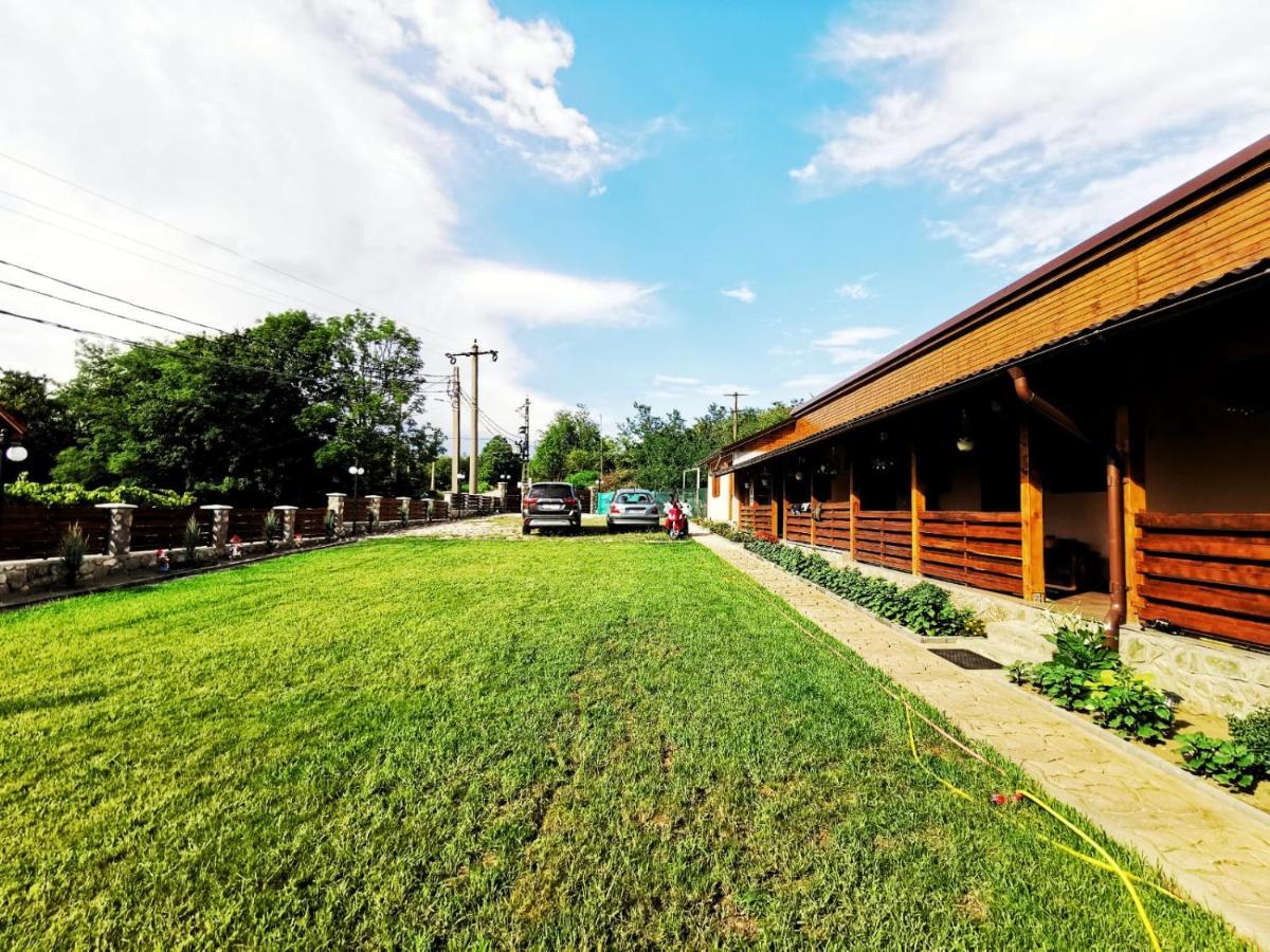 Pensjonat Casa Borcean 2 Sasca Montană Zewnętrze zdjęcie