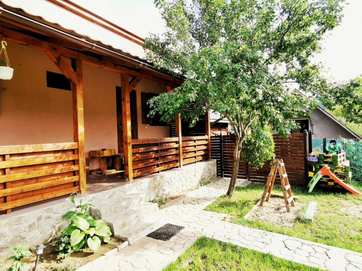 Pensjonat Casa Borcean 2 Sasca Montană Zewnętrze zdjęcie