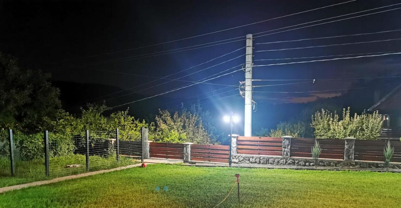 Pensjonat Casa Borcean 2 Sasca Montană Zewnętrze zdjęcie
