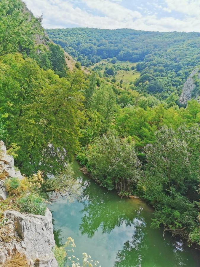 Pensjonat Casa Borcean 2 Sasca Montană Zewnętrze zdjęcie