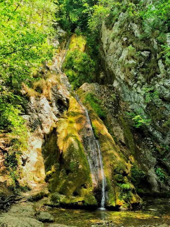 Pensjonat Casa Borcean 2 Sasca Montană Zewnętrze zdjęcie