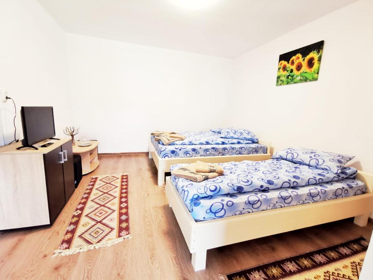 Pensjonat Casa Borcean 2 Sasca Montană Zewnętrze zdjęcie