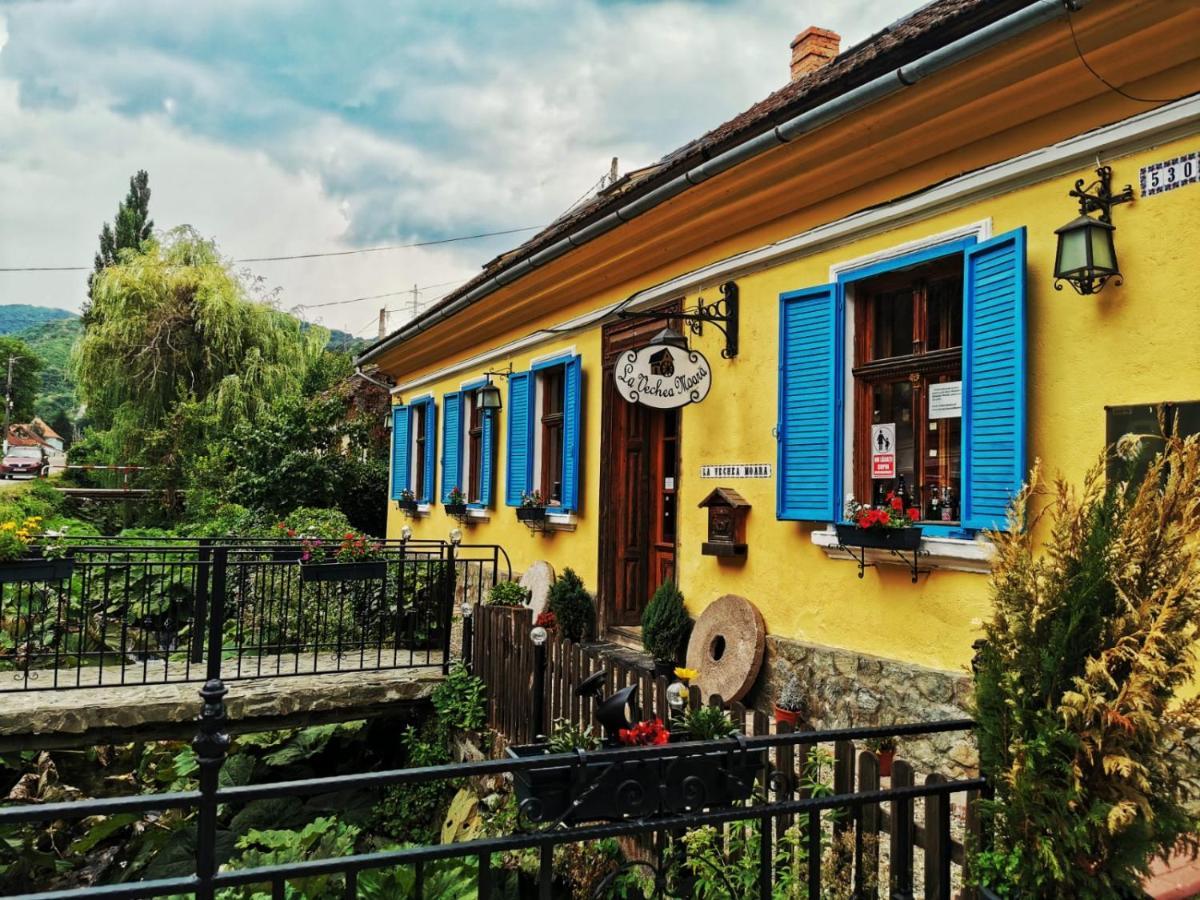 Pensjonat Casa Borcean 2 Sasca Montană Zewnętrze zdjęcie
