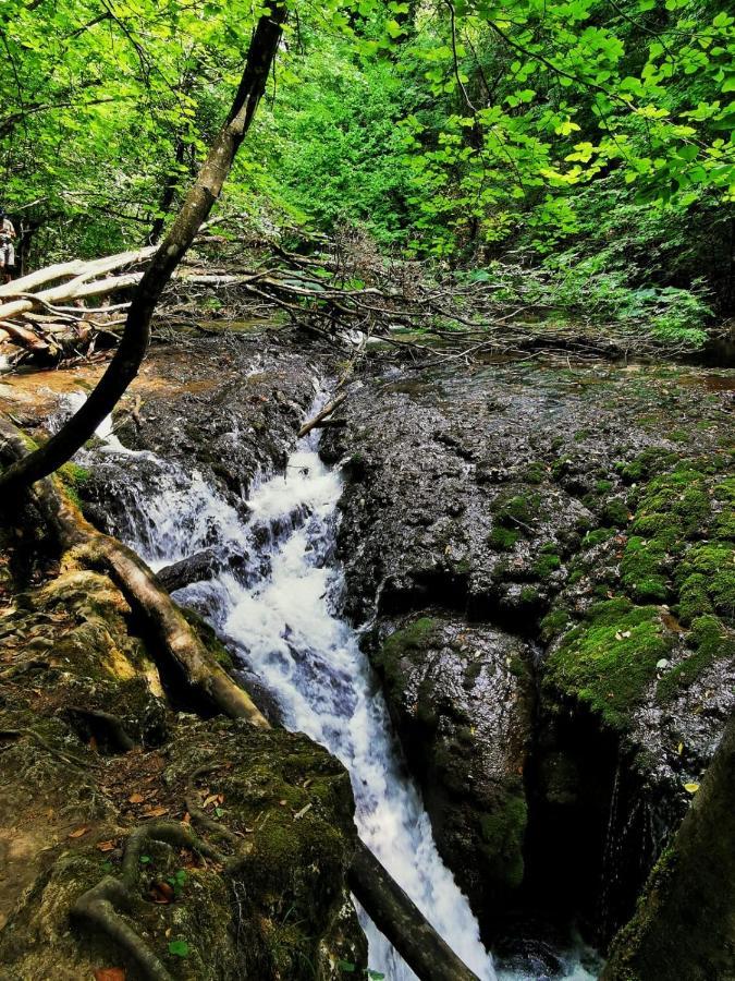 Pensjonat Casa Borcean 2 Sasca Montană Zewnętrze zdjęcie