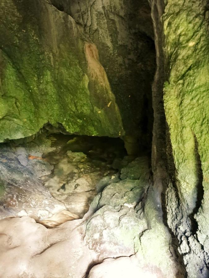 Pensjonat Casa Borcean 2 Sasca Montană Zewnętrze zdjęcie